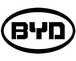 Startseite 13 BYD